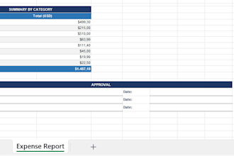 build a professional excel spreadsheet, tracker or dashboard for your business