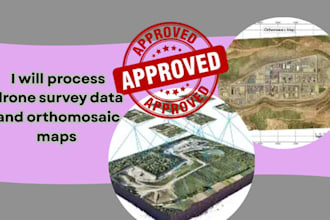 process drone survey data and orthomosaic maps