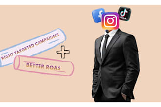setup and optimize meta and tiktok ads for better roas