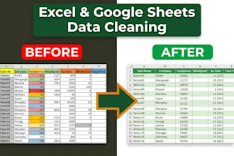 excel and google sheets data cleaning and organization