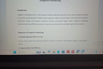 do data entry, typing, and power point presentation design