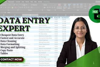 provide expert data entry, formatting and professional data cleaning