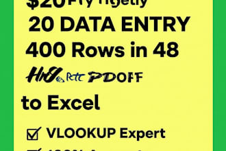 do data entry, PDF to excel, vlookup, web research in 24hrs
