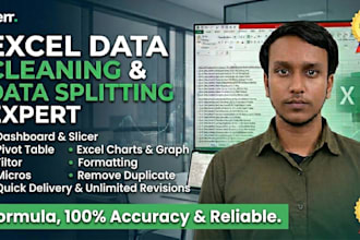 clean format merge split excel dashboard slicer pivot table fast delivery