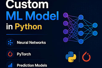 build a custom neural network or ml model in python