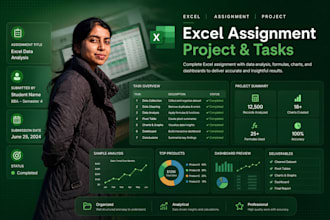 do microsoft excel assignments, projects and tasks