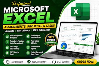 do microsoft excel assignments, projects and tasks