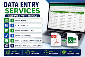 provide professional data entry and excel services
