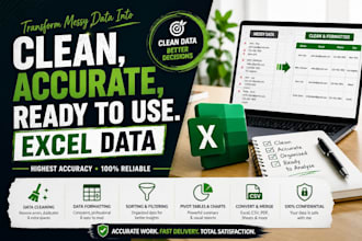 clean and format excel data with highest accuracy