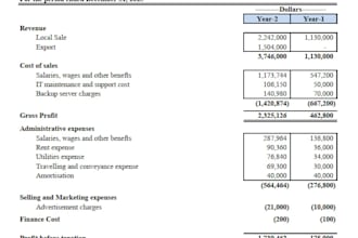 prepare projected financial statements as expert