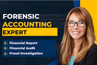 be your forensic expert, financial audit expert, fraud investigation expert
