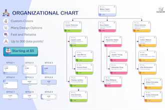 create a professional organizational chart for you