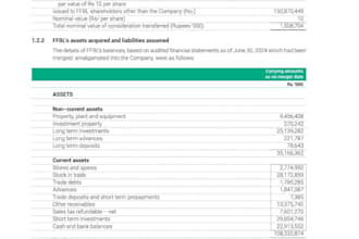 provide management accounting, budgeting, and cost analysis