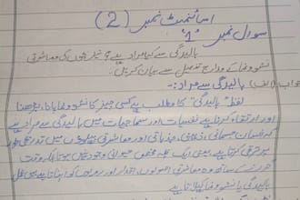 write neat and clean handwritten assignments