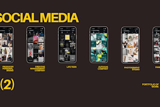 audit and optimise your website and digital presence