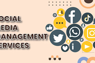 manage and grow your music artist social media professionally