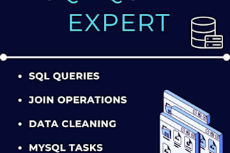 write sql queries and do database cleaning professionally