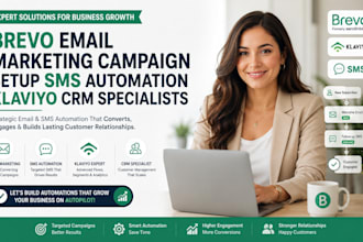 brevo email marketing campaign setup sms automation klaviyo crm specialists