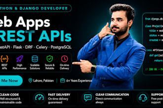 build a python django web app, rest API or automation tool