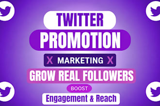 grow your x twitter followers with organic x promotion