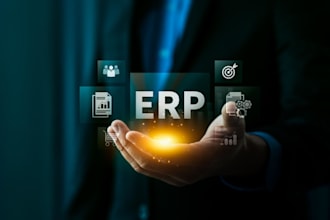 implement, customize and support sap, oracle, and microsoft dynamics erp