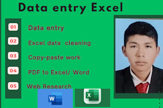 do excel formulas, data entry, and PDF tasks