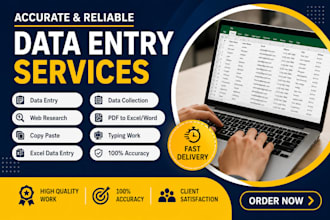 be your professional data entry and web research expert