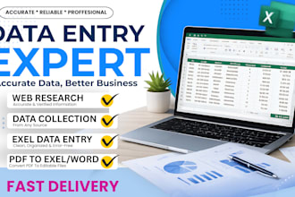 be your professional data entry and web research expert