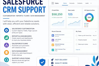 help with basic salesforce CRM setup and customization