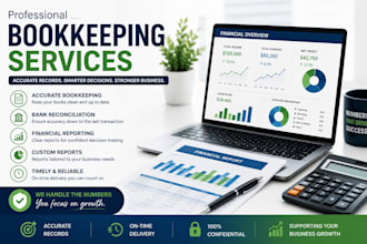 provide professional bookkeeping and accounting services