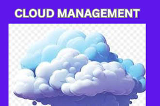 do 24x7 cloud server management