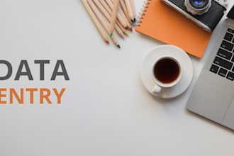 do typing work, data entry and assignments professionally