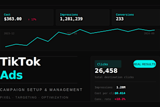 setup and manage tiktok ads campaign, as your tiktok ads manager