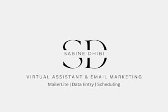 be your virtual assistant for email marketing and data entry