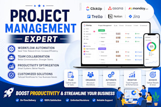 develop project management workflow, team system and business automation