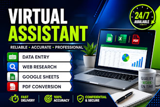 do accurate data entry, web research and virtual asis task