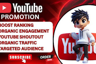 do youtube SEO, promotion and  channel management