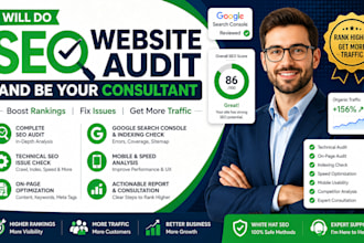 do SEO website audit and be your consultant for higher google ranking