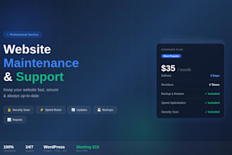 fix the bugs and error of your website