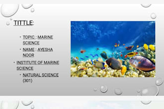 design professional powerpoint and canva presentations