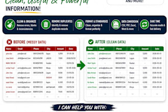 clean excel data, formatting, CSV cleanup and data entry