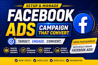 setup and manage high converting facebook ad campaign