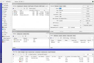 provide professional IT support and network engineering