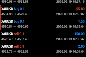 teach you forex trading as a complete beginner