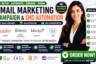 zapire email marketing campaign setup sms automation brevo flows klaviyo expert
