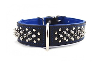 supply leather dog collars  harness  leashes