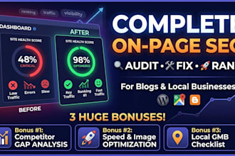 provide complete on page SEO audit and fix for your blog or local business