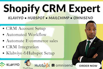 setup hubspot klaviyo mailchimp zendesk omnisend for ecommerce shopify store