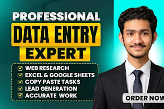do fast  data entry and copy paste task