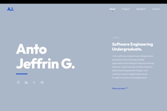 create a fast and minimal professional website